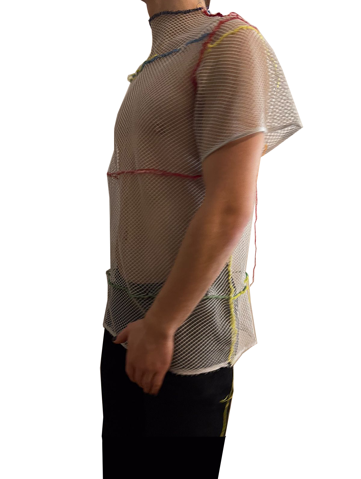 pav mesh topnew